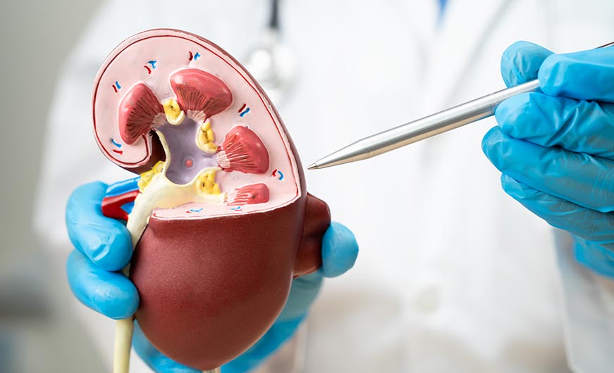 Nephrology