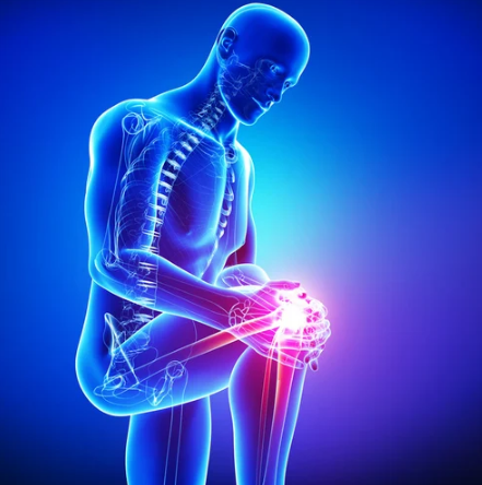 Orthopedic & Joint Replacement